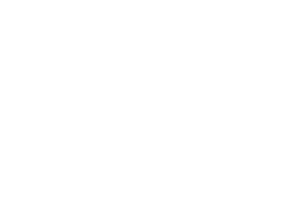 Nerlei